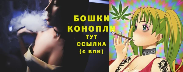 мдпв Кодинск