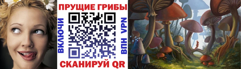 Псилоцибиновые грибы ЛСД  Анжеро-Судженск 